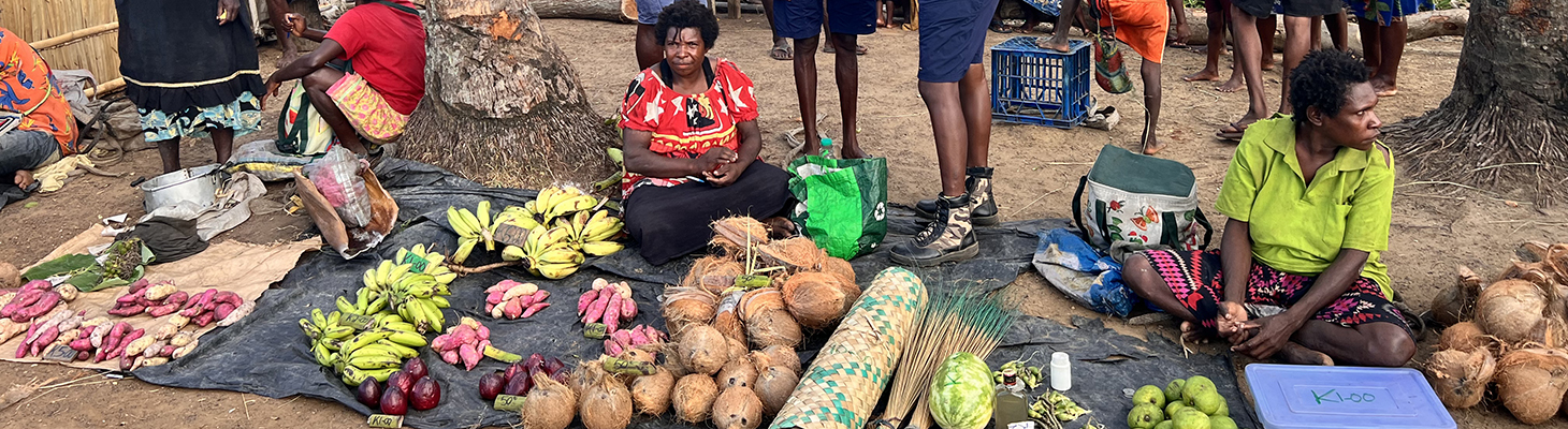 Food price data collection training: Food Price monitoring and data management