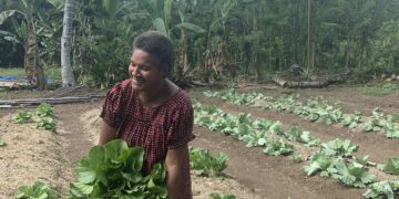 January 2026 Newsletter