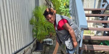 PNG-AFNP Quarterly Newsletter April 2026