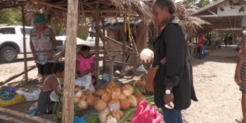 Study looks into fresh produce value chain